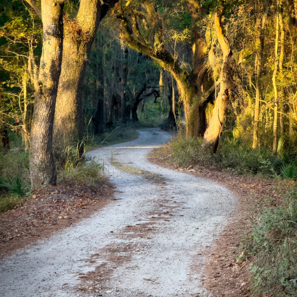 Copy of FOBBH Artifact Recovery (1)